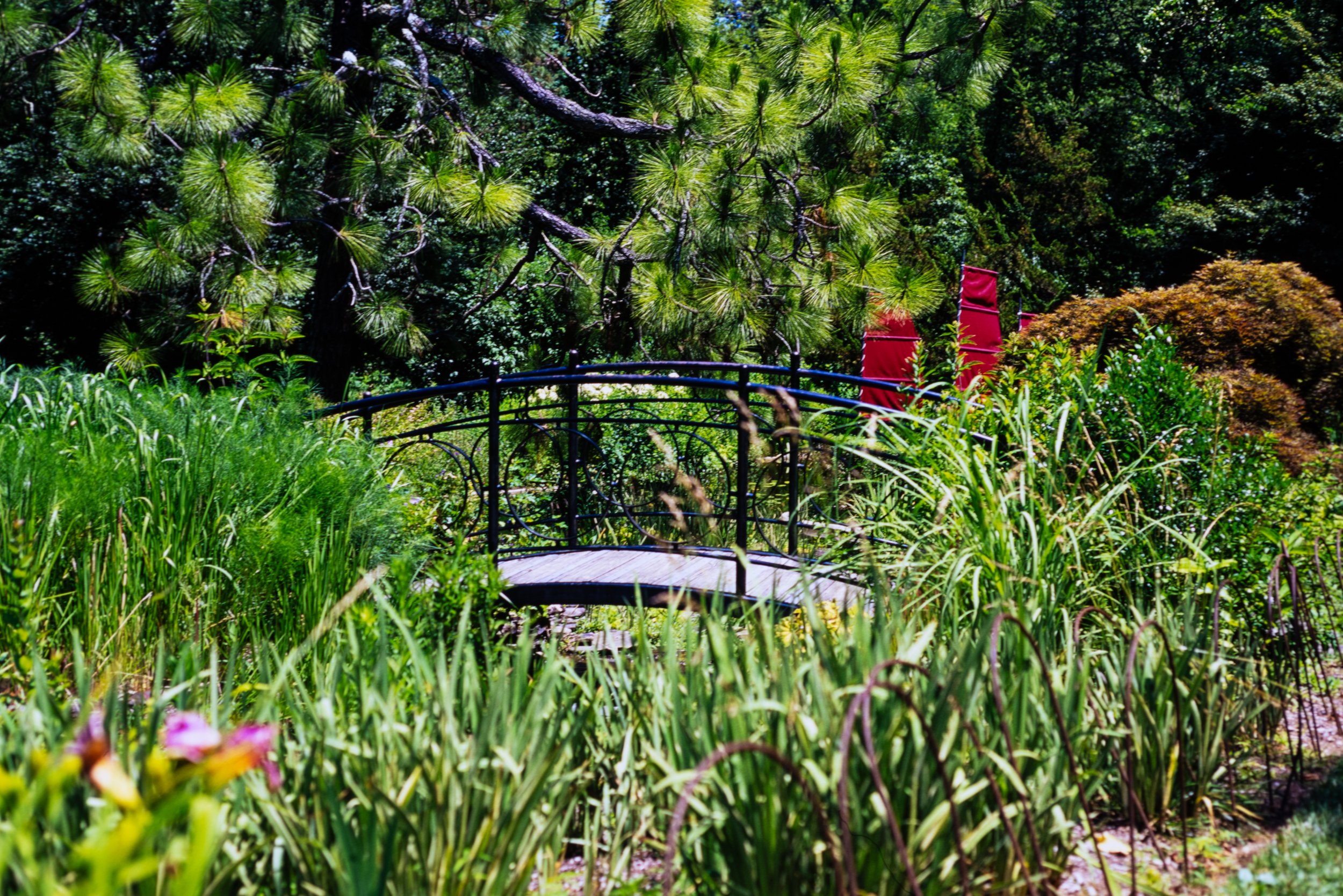 DSC_4561.jpg