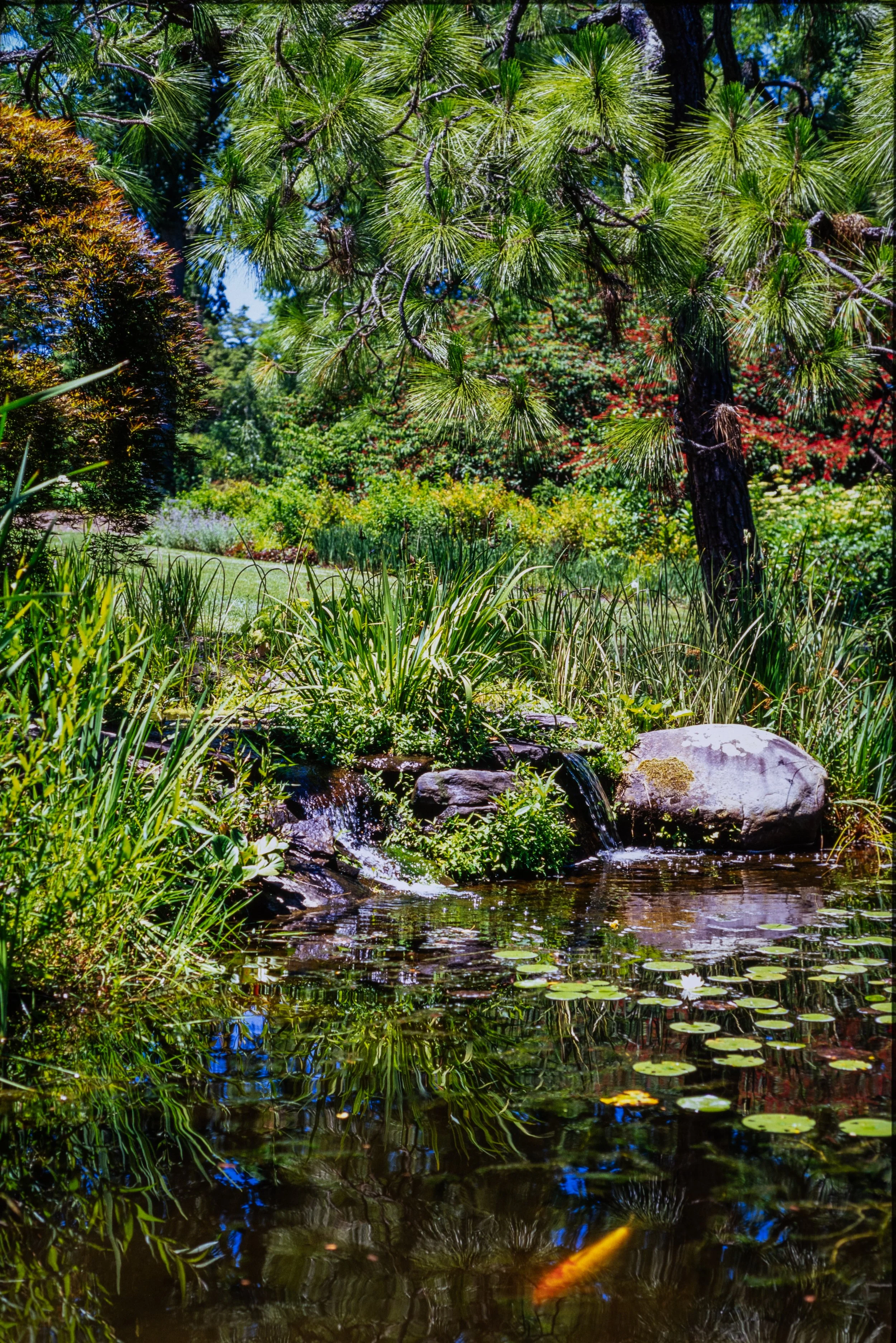 DSC_4574.jpg