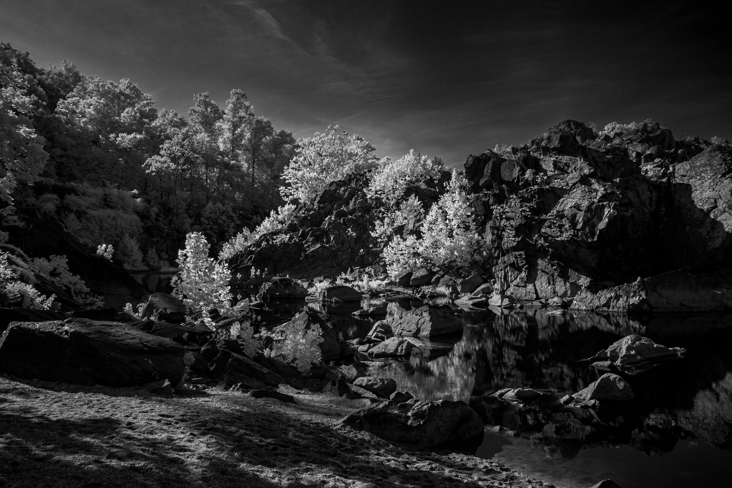 IMG_9272-Edit.jpg