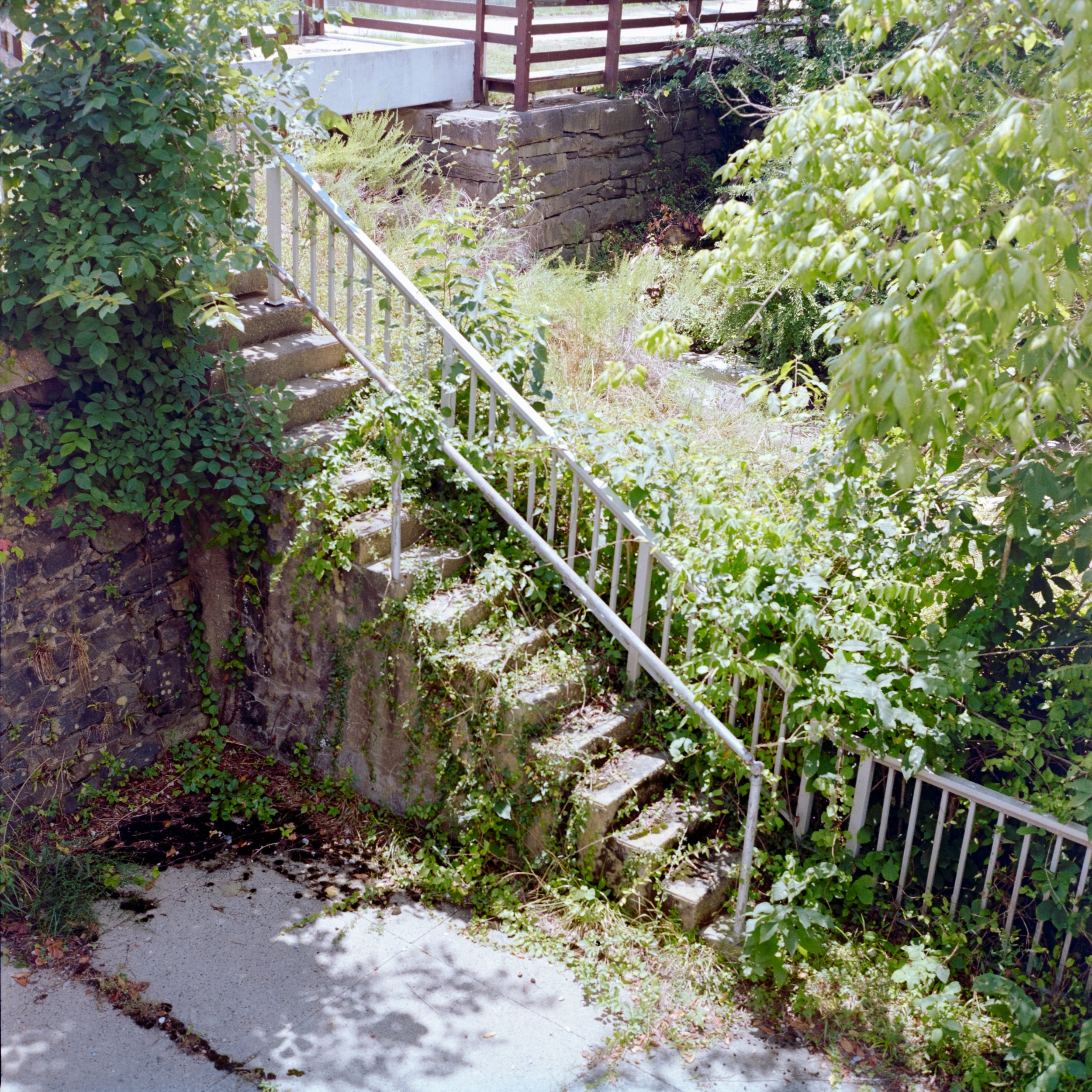 DSC_4589.jpg