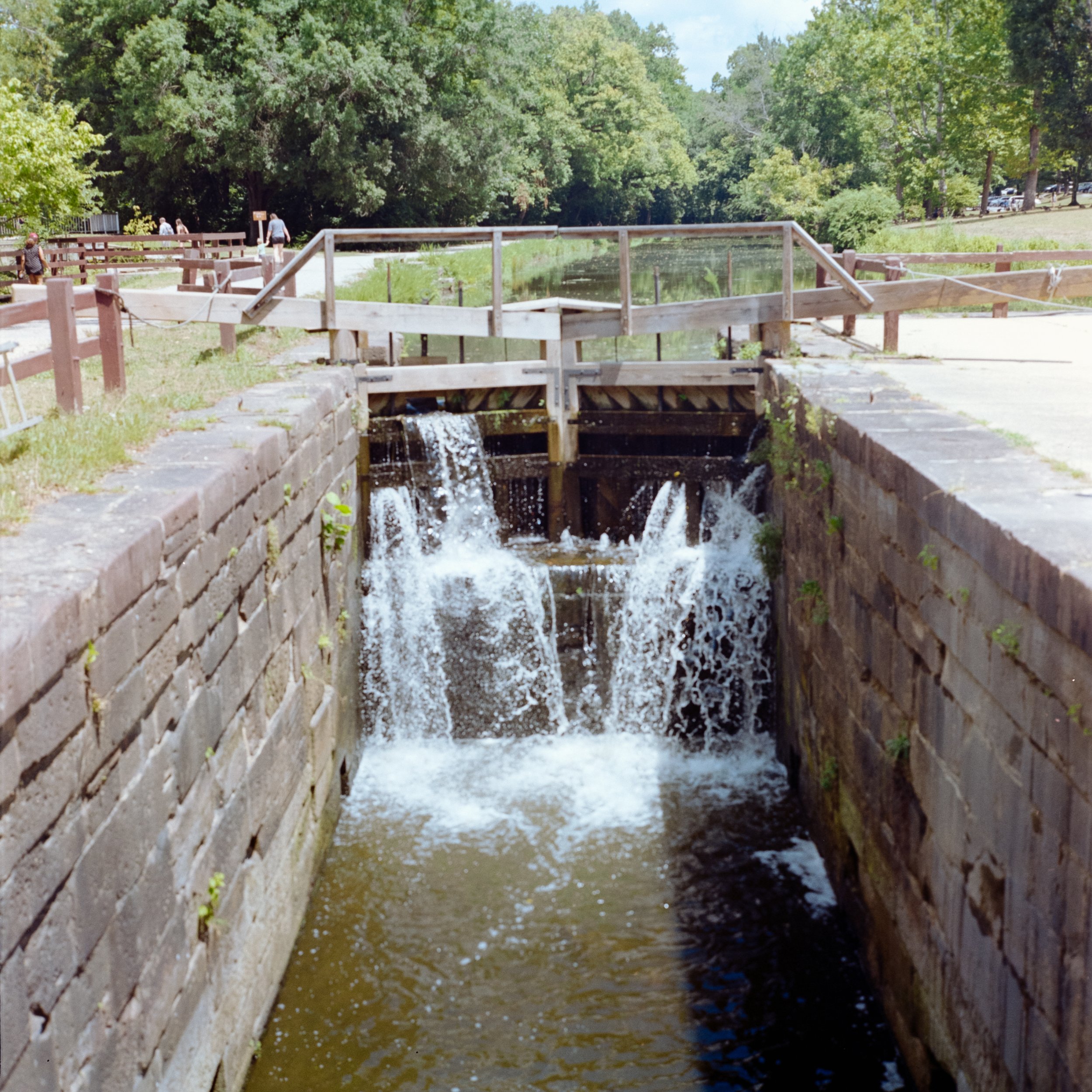 DSC_4590.jpg