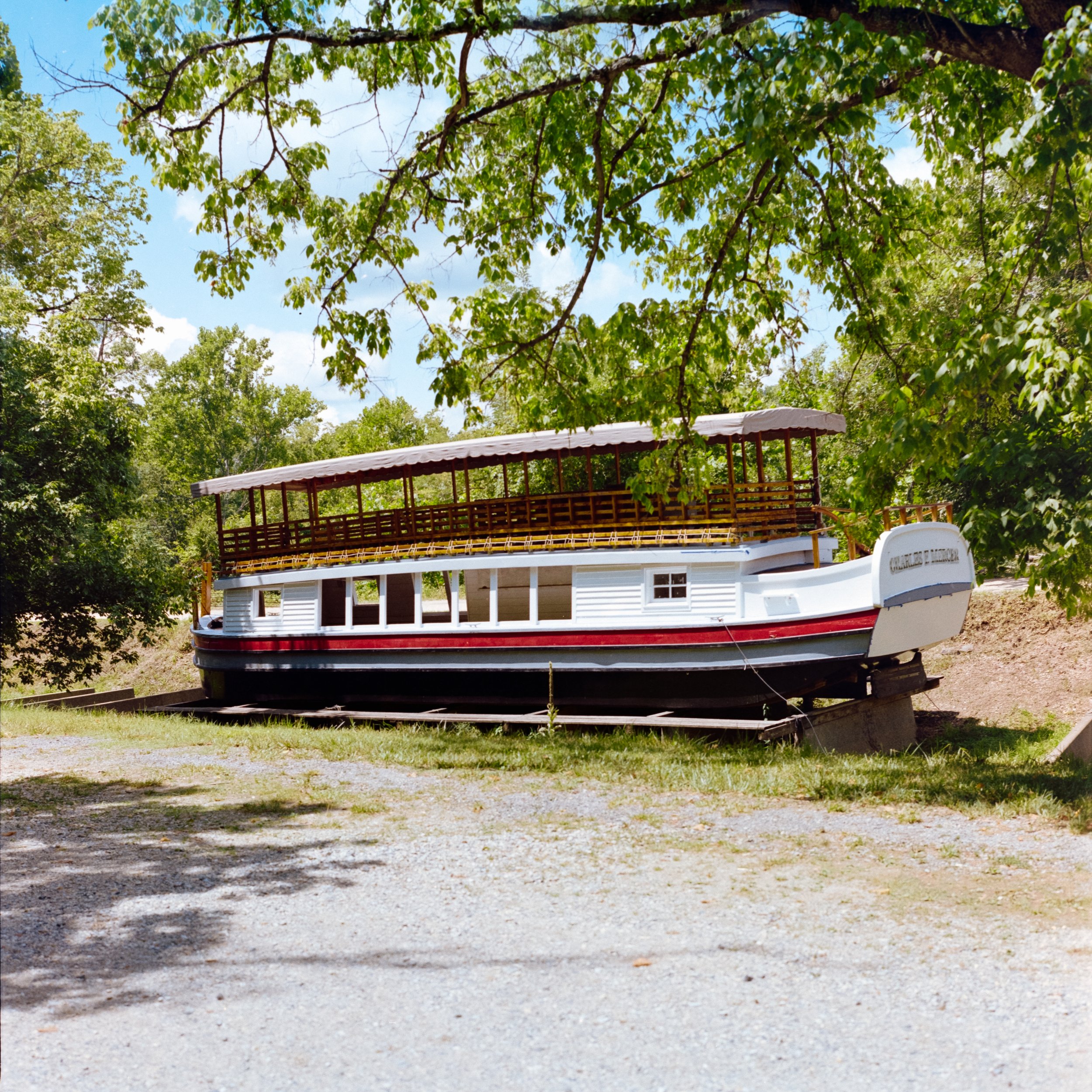 DSC_4591.jpg