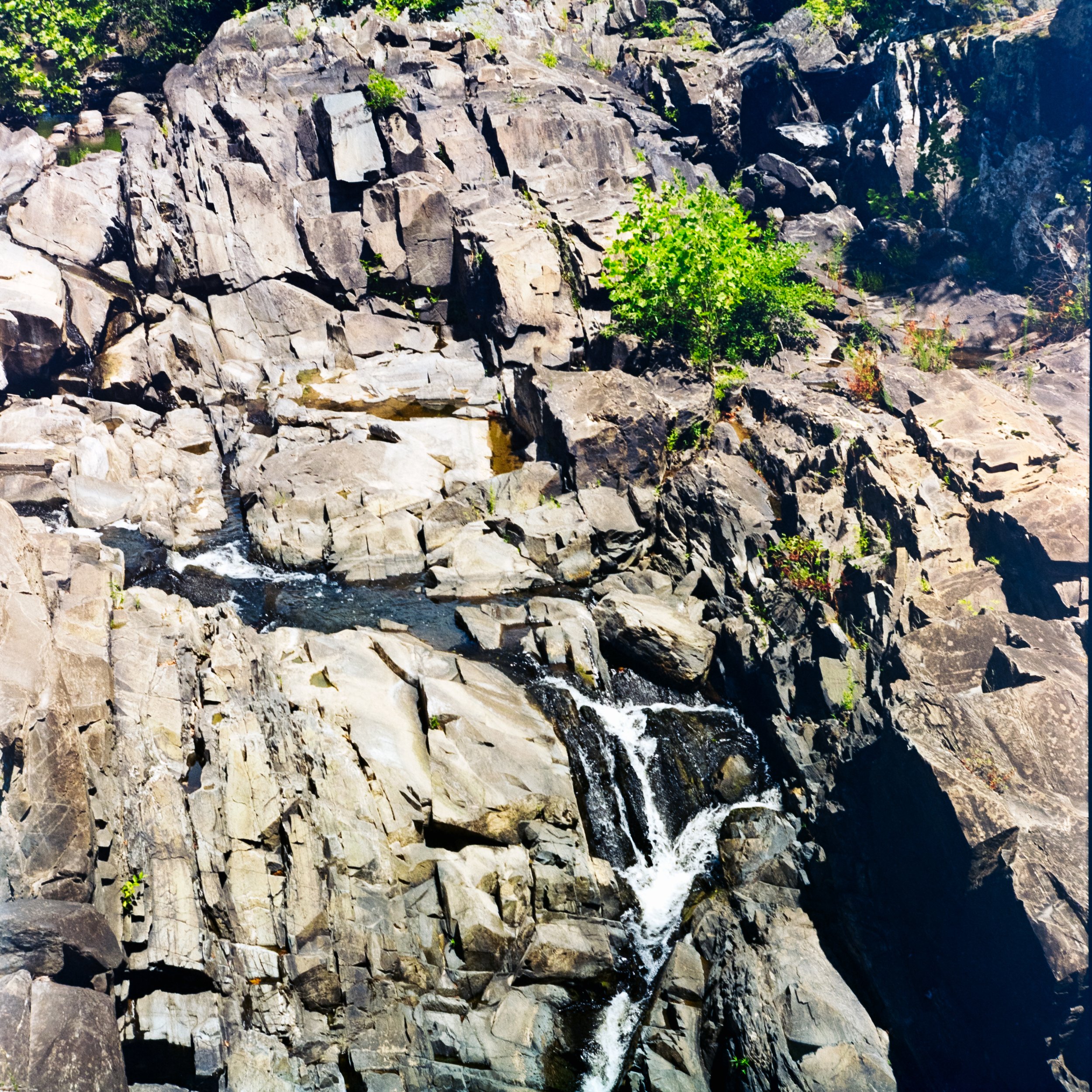 DSC_4596.jpg
