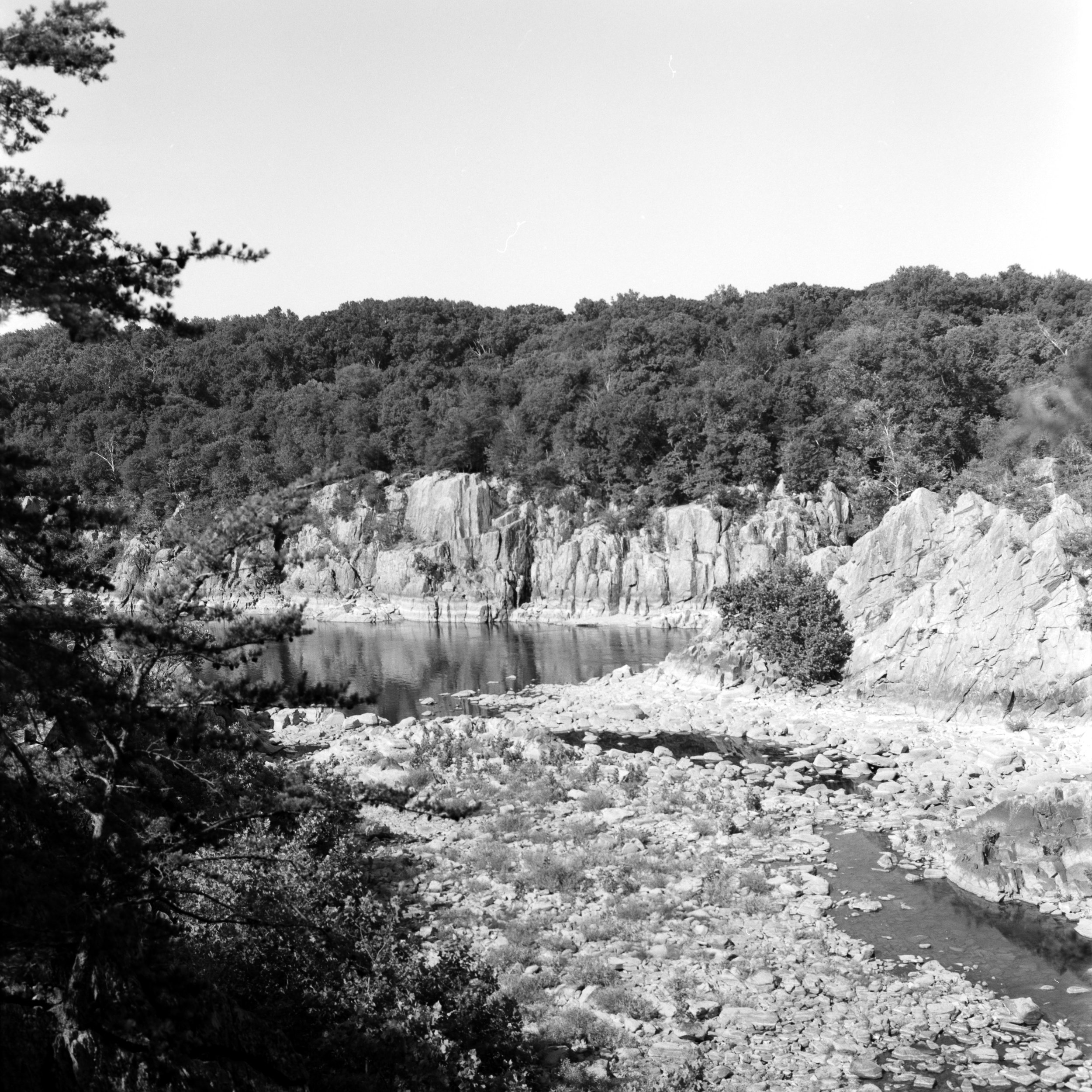 DSC_4611.jpg