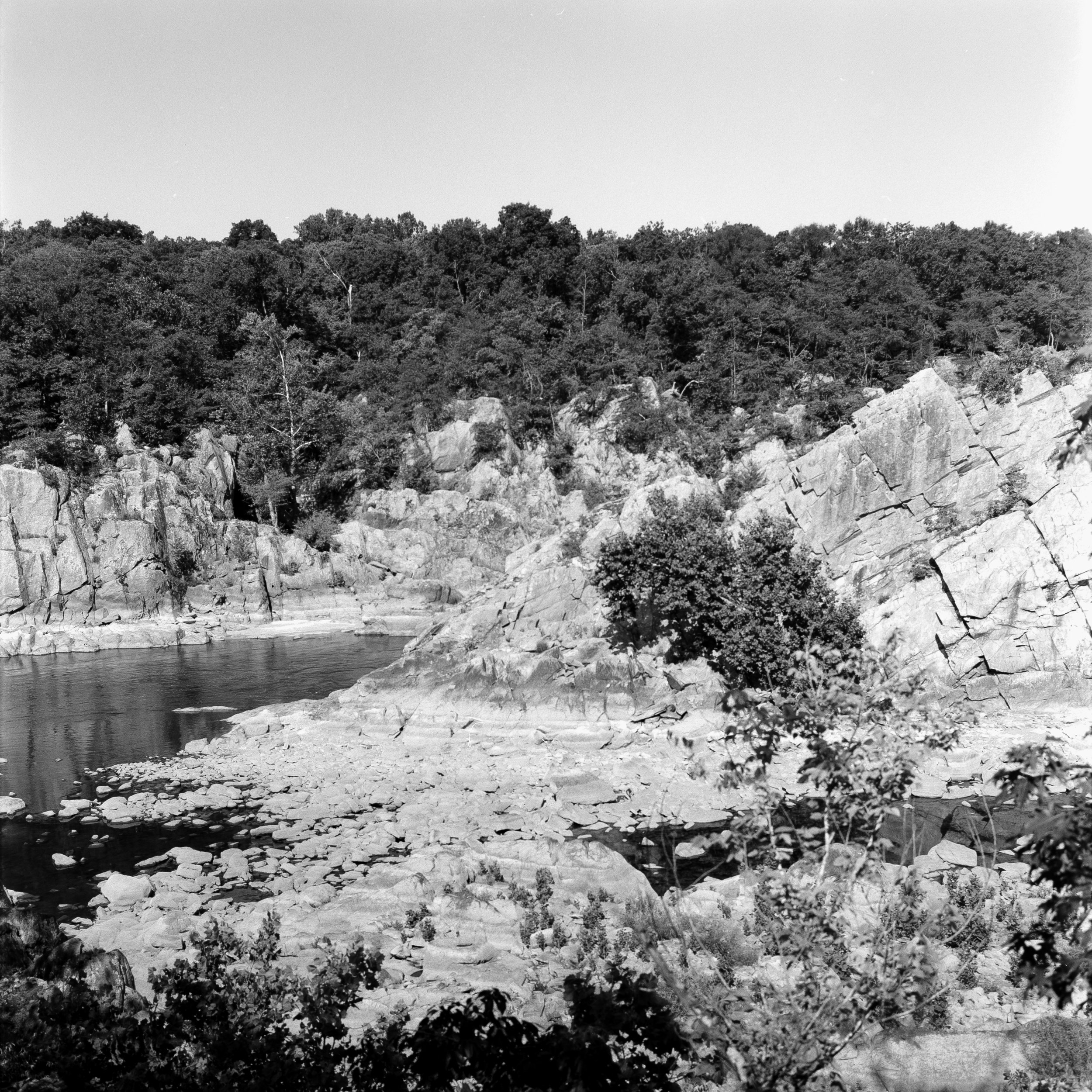 DSC_4612.jpg