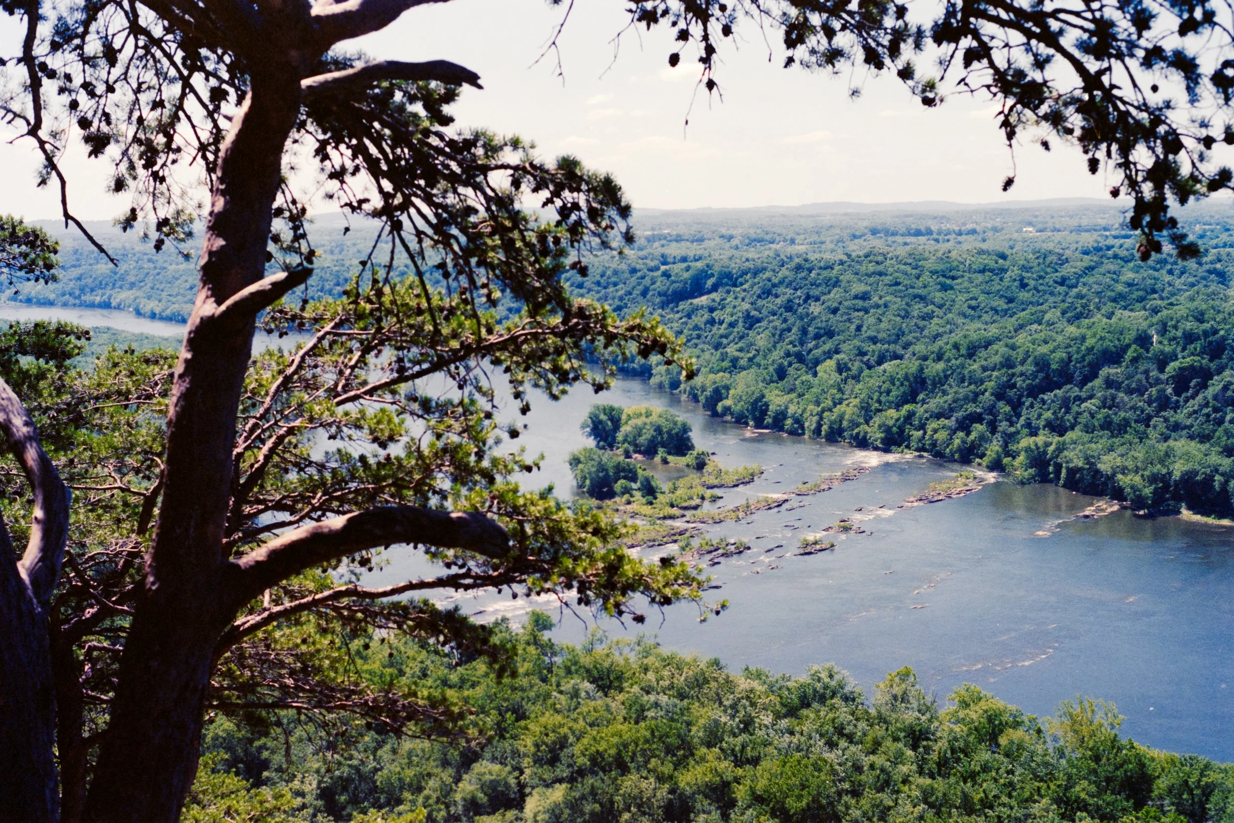 DSC_4626.jpg