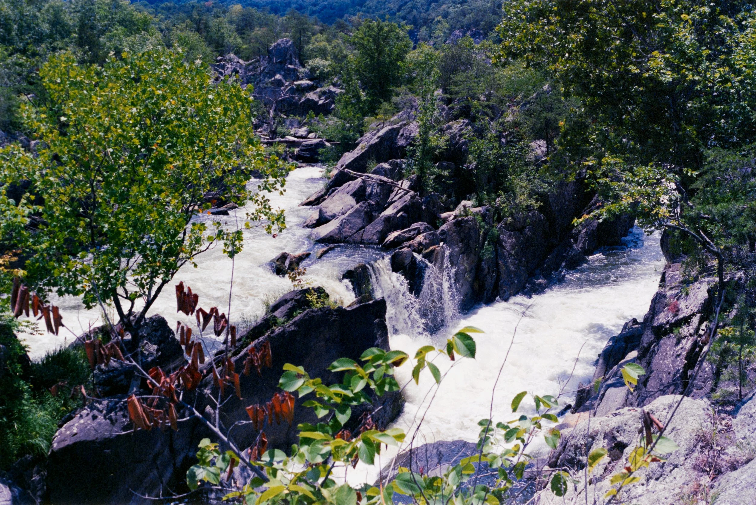 DSC_4641.jpg