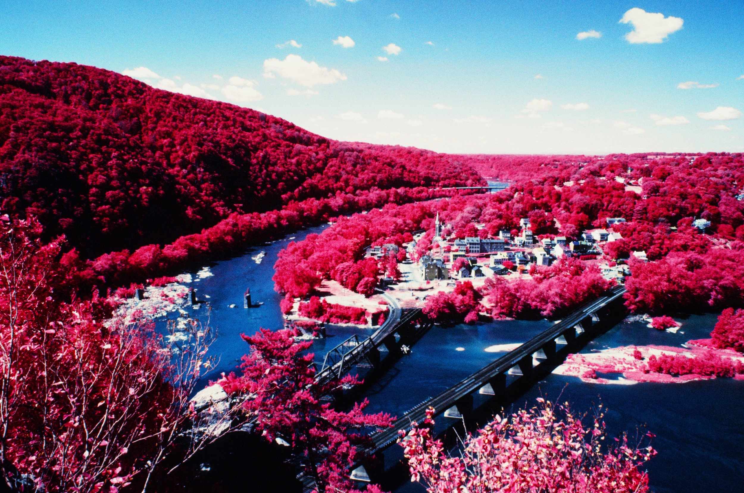 The Most Expensive Photo I've Ever Taken.jpg