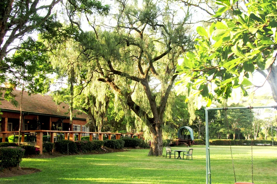 jacaranda elementaita lodge, kenya