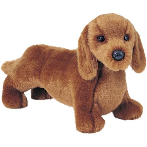 douglas dachshund.jpg