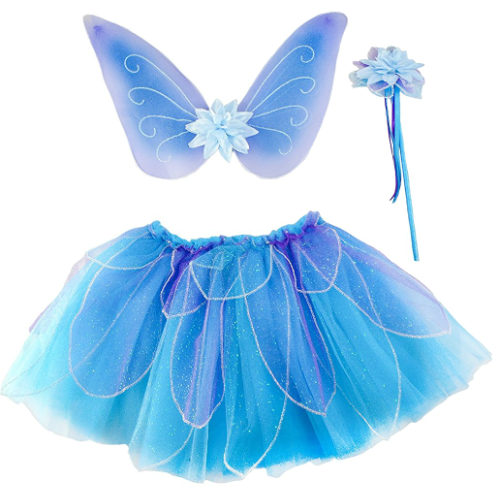 fairy wings and tutu.jpg