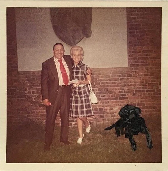 Painting on Photograph (Dog)