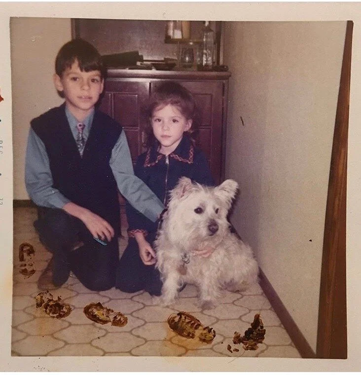 Painting on Photograph (Dog Mess)