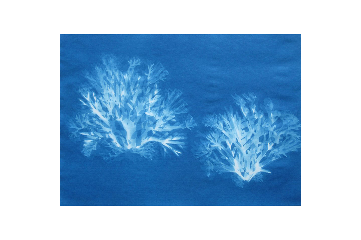 Untitled (Ancient Trapped Seas XVIII.III)