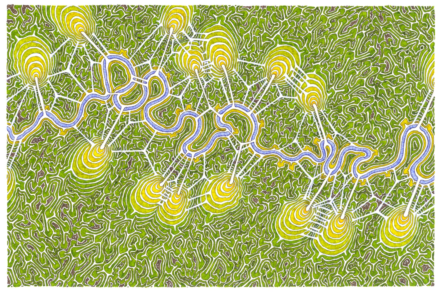 Oxbow Mutation (Amazon Basin)