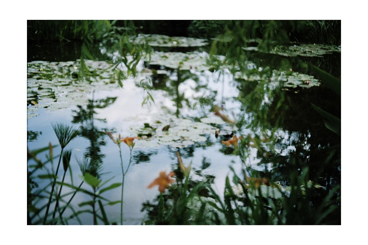 Monet's Garden
