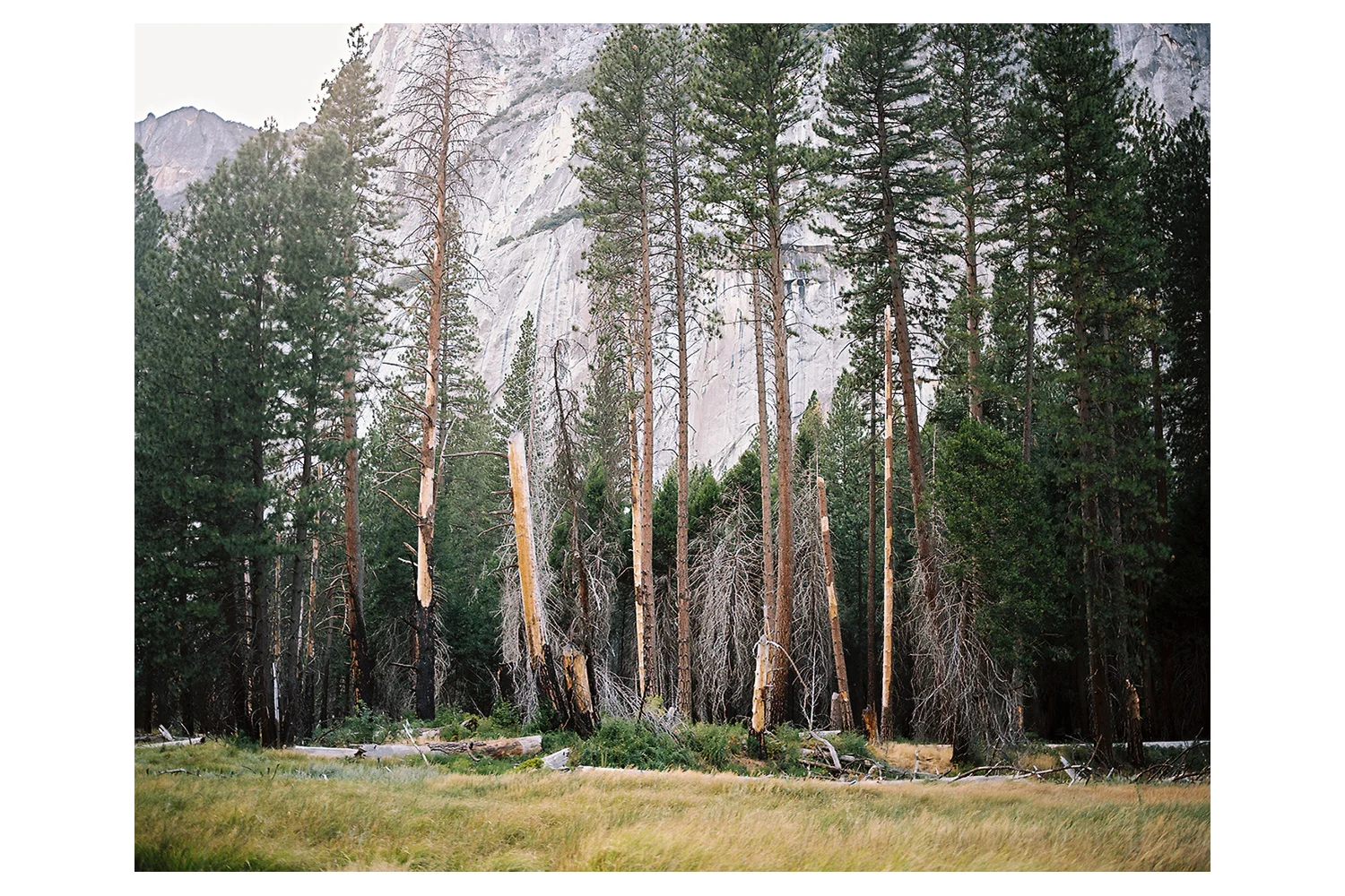 Yosemite