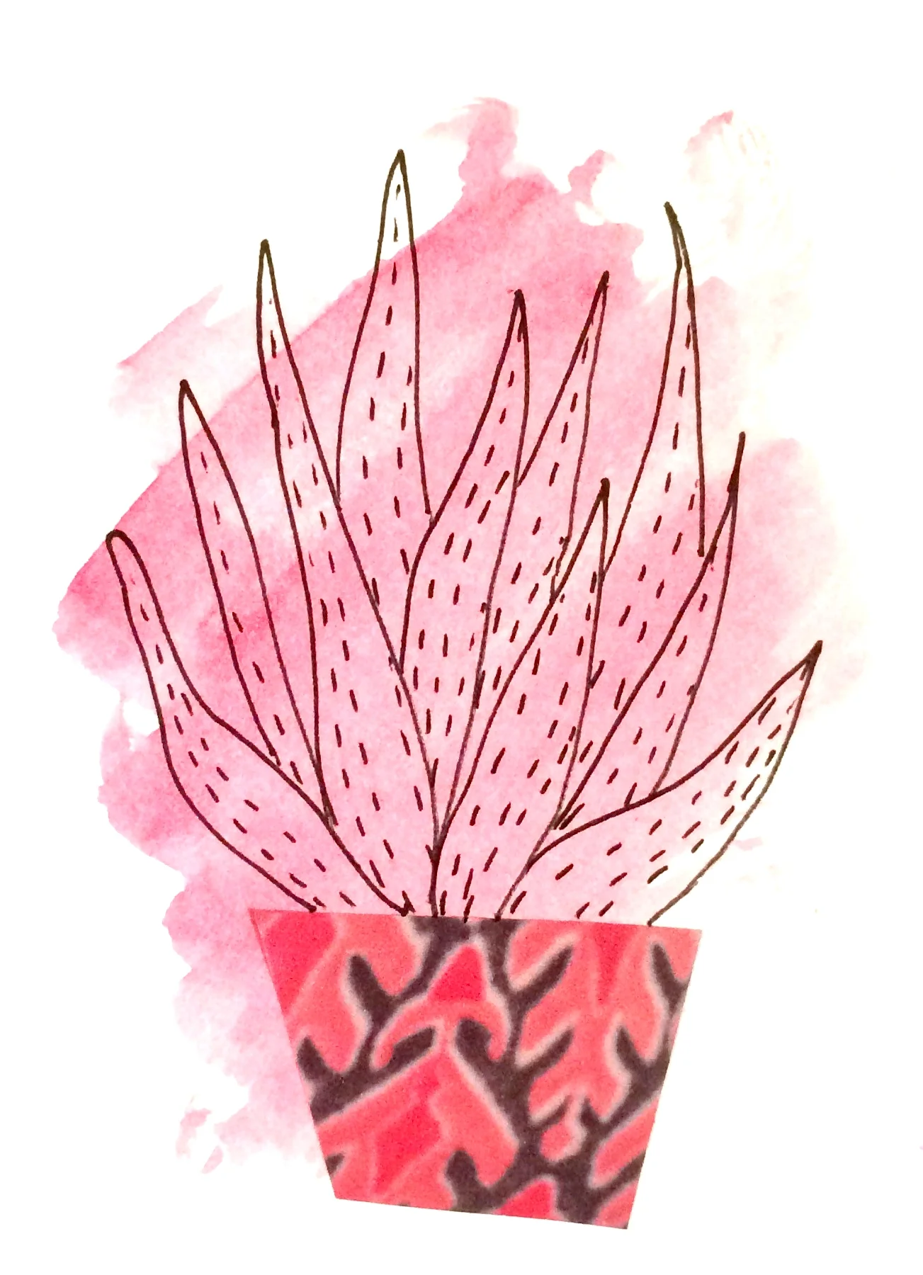 plant11.jpg