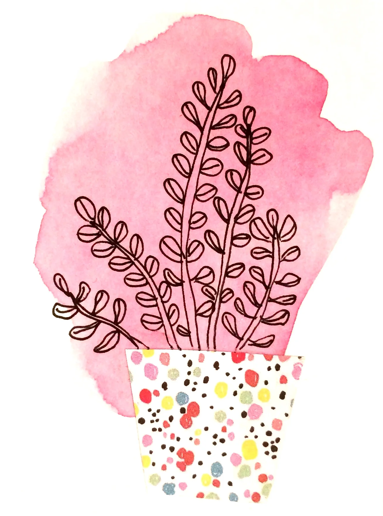 plant4.jpg