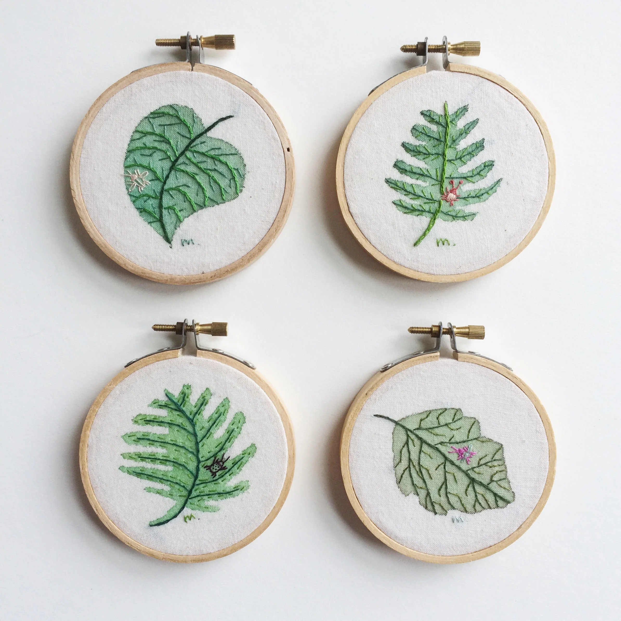 4Ferns.jpg