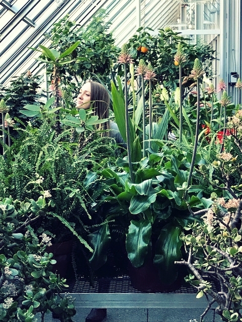 portrait2plants.jpeg