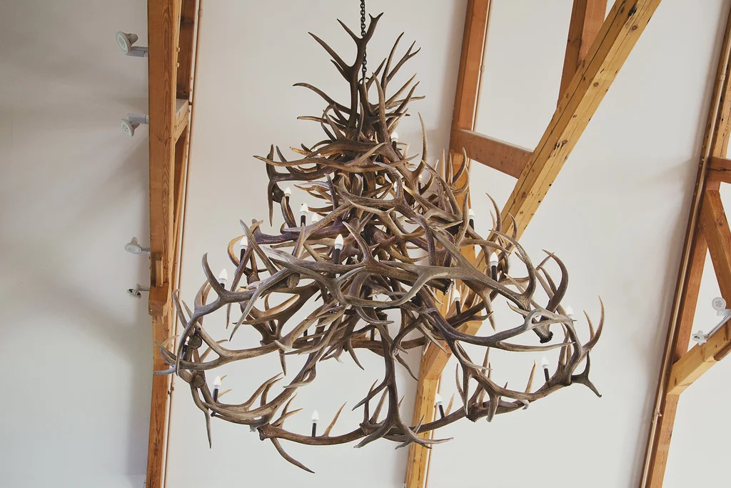 antler.jpg