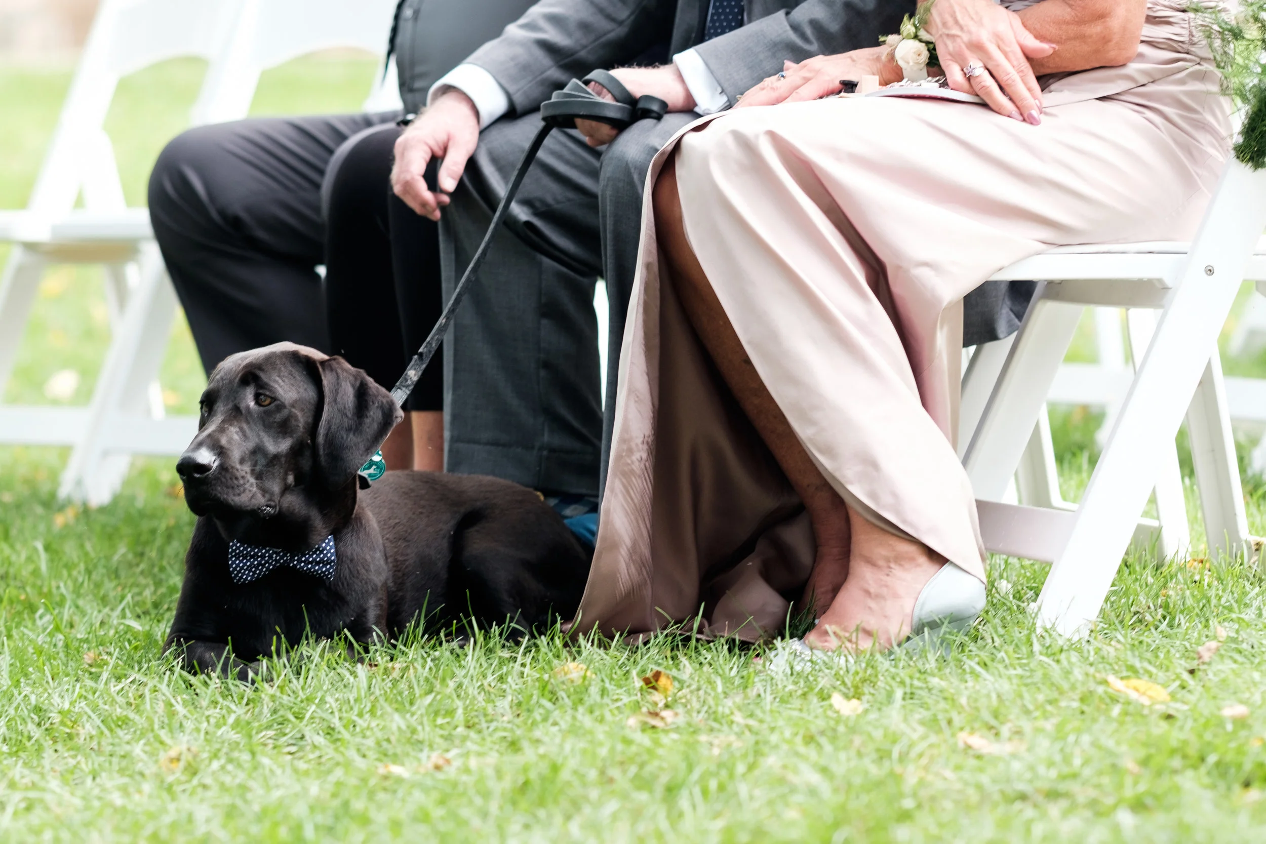 Morgan_Kelly_Wedding-394.jpg