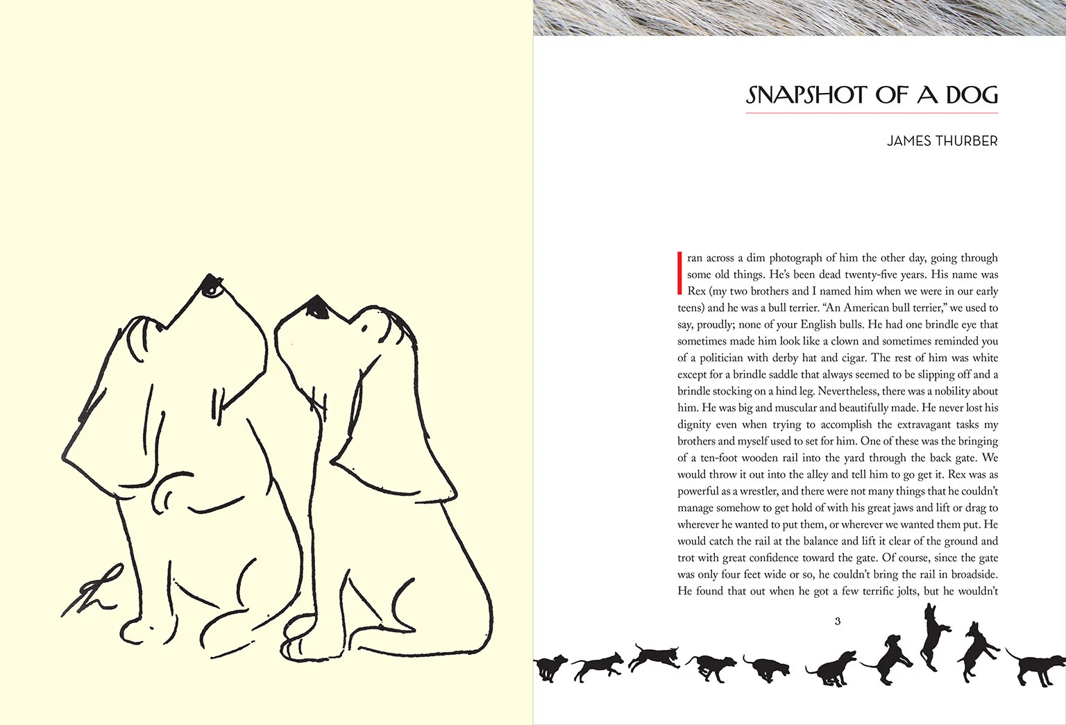 Book of Dogs 5.jpg