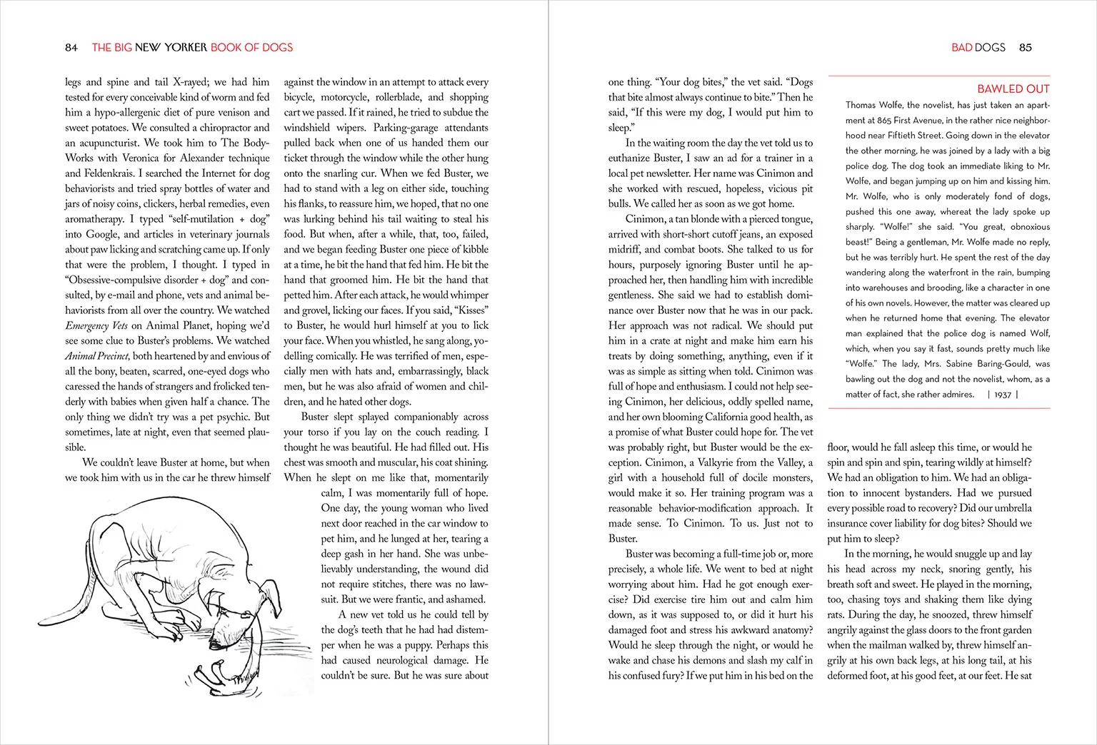Book of Dogs 10.jpg