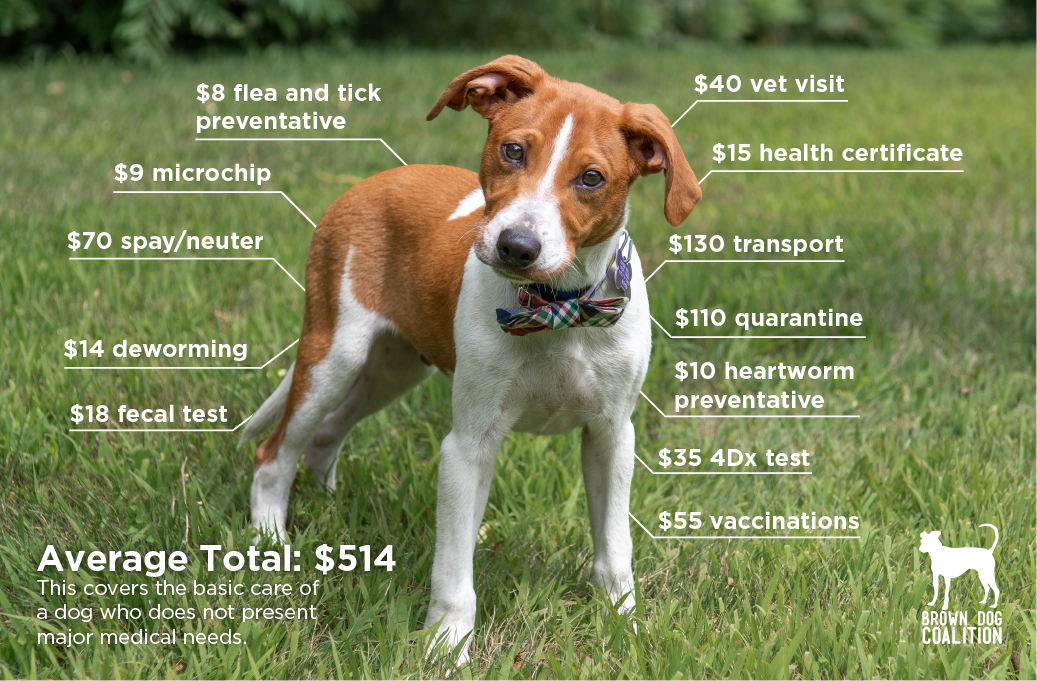adoptionfees2019-01.png