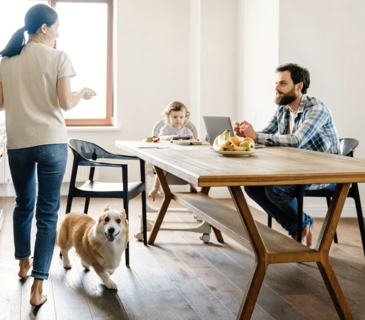Welcoming Your Rescue Dog Checklist