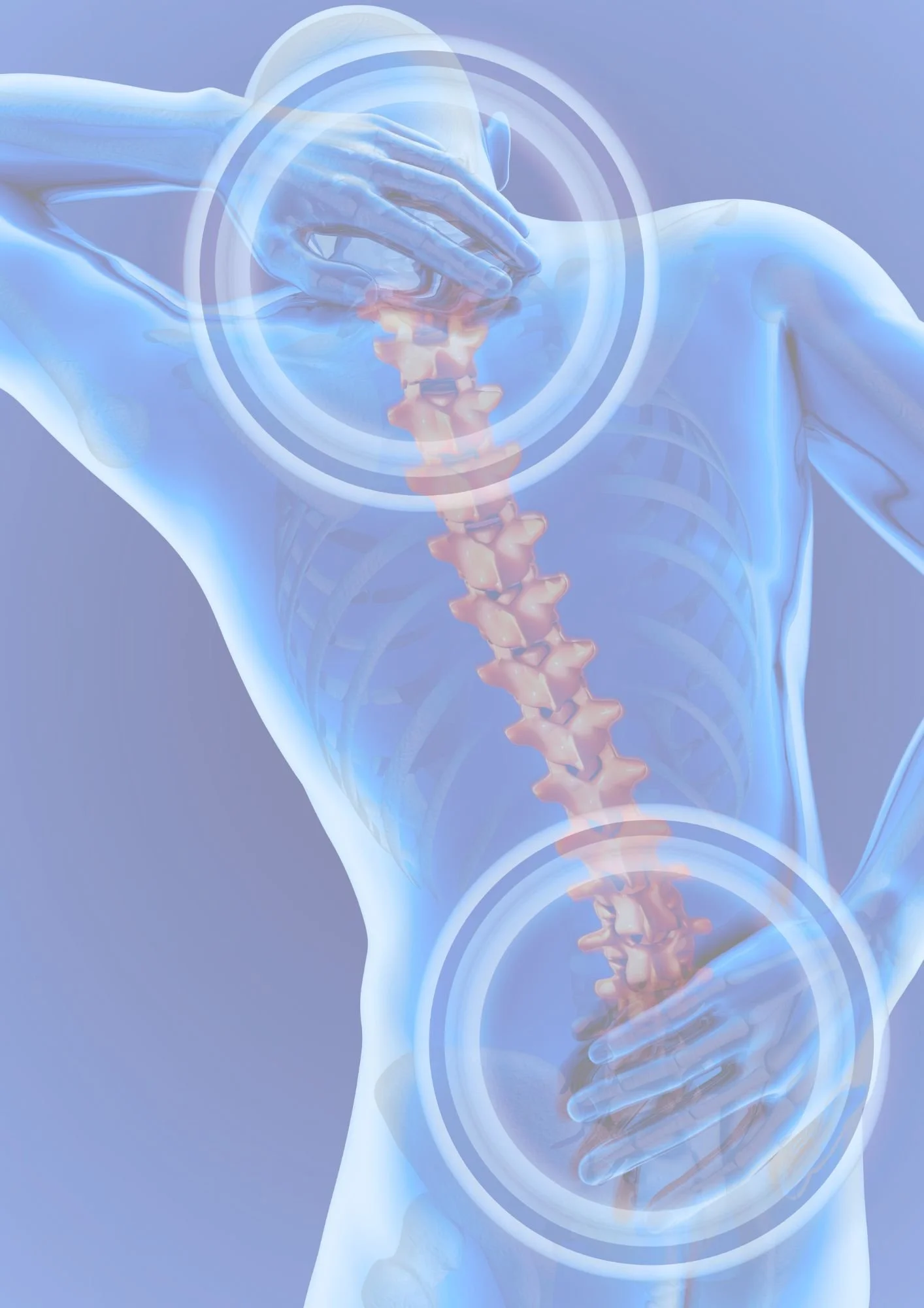 Formation continue pathologie