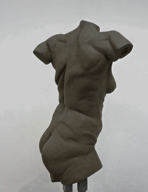female_torso2.gif