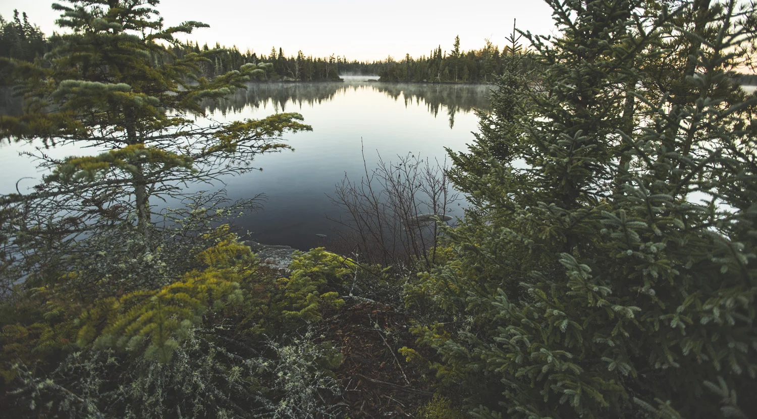 A view from the center of one of thousands of perfect little islands that dot these lakes.