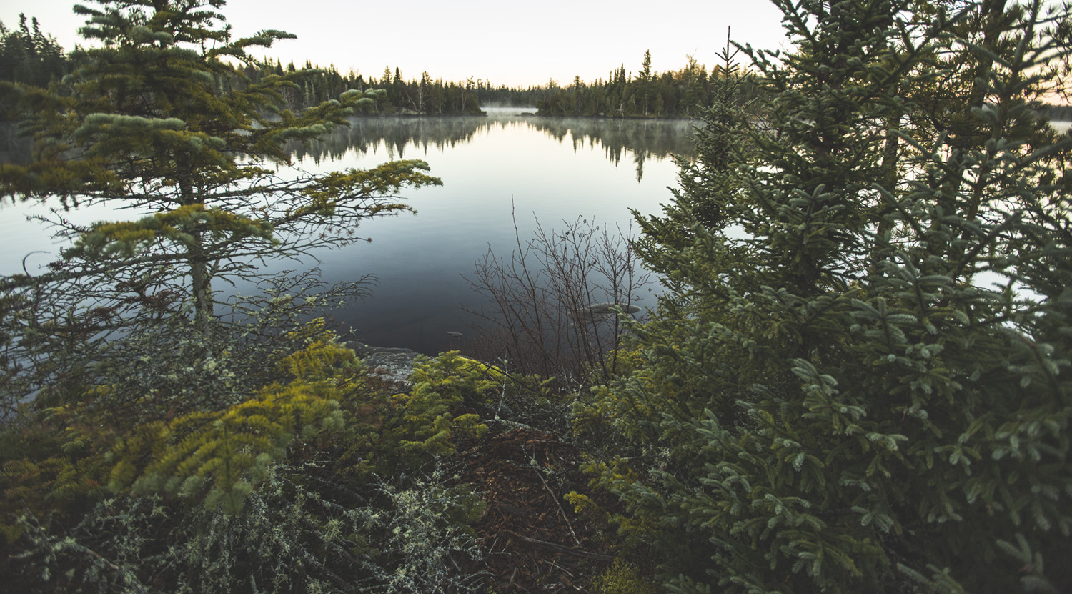 A view from the center of one of thousands of perfect little islands that dot these lakes.