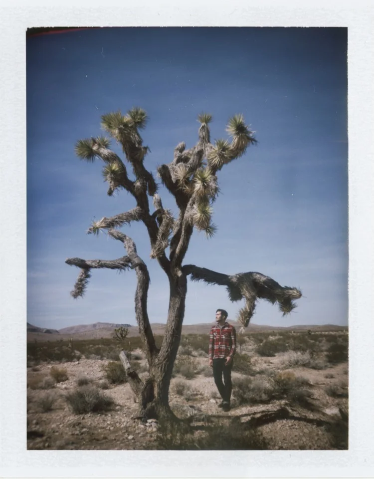 Polaroids in the Desert