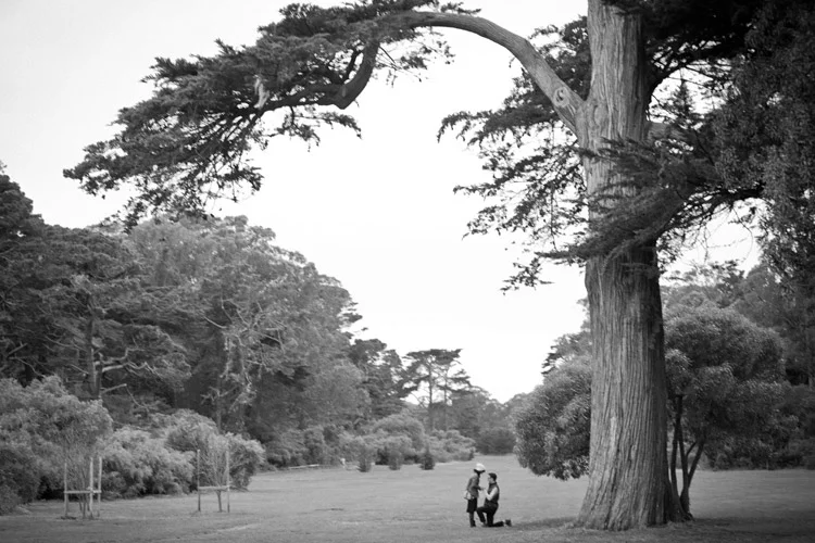 David and Alyssa Got Engaged!