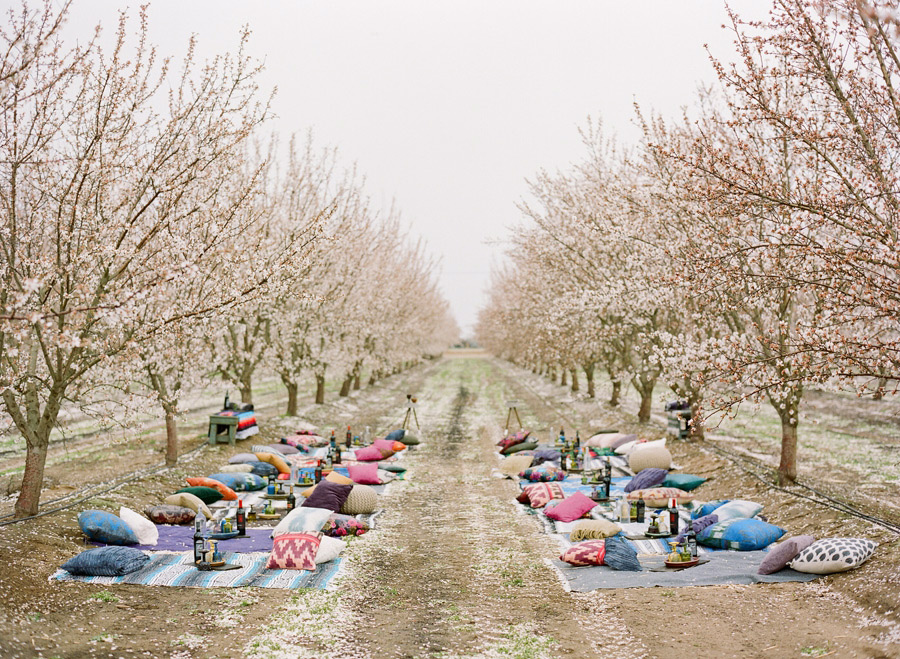 02-almond-orchard-wedding.jpg