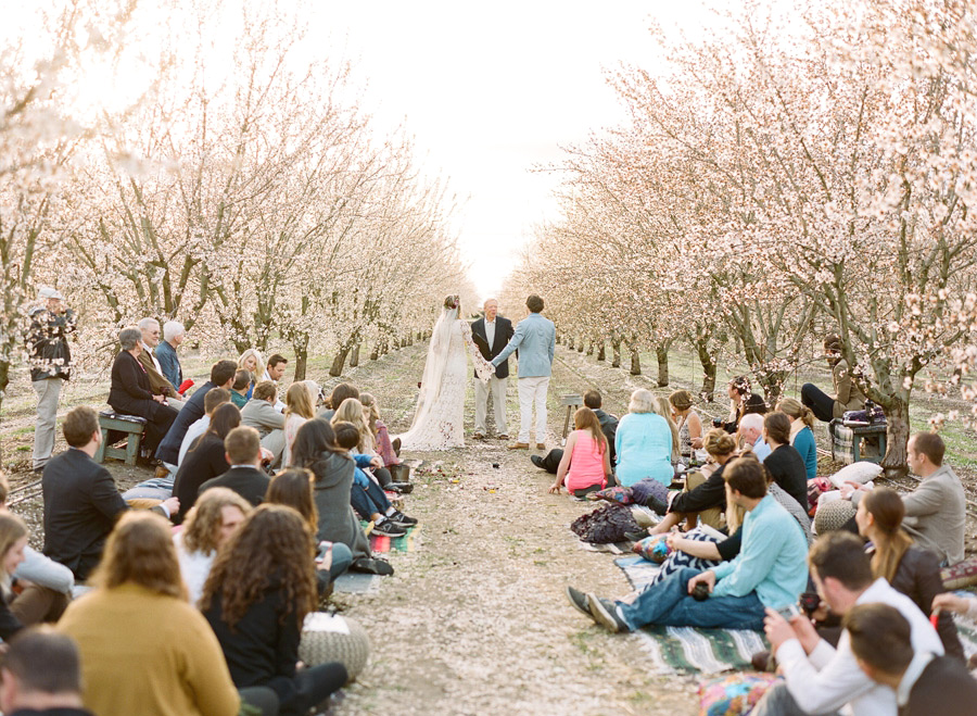 22-almond-orchard-wedding.jpg