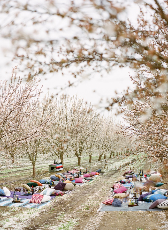 01-almond-orchard-wedding-josh-gruetzmacher.jpg