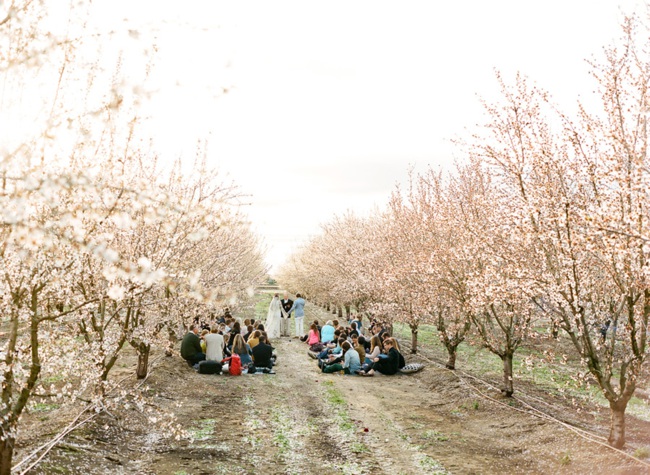14-almond-orchard-wedding-josh-gruetzmacher.jpg
