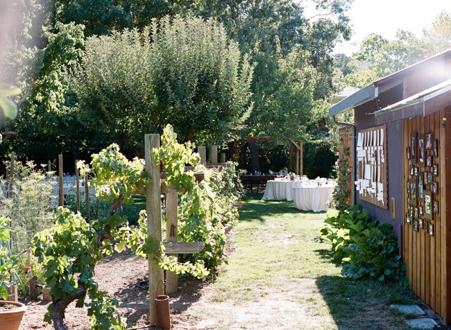 028-backyard-bay-area-wedding.jpg