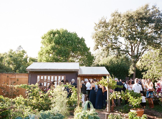 040-backyard-bay-area-wedding.jpg