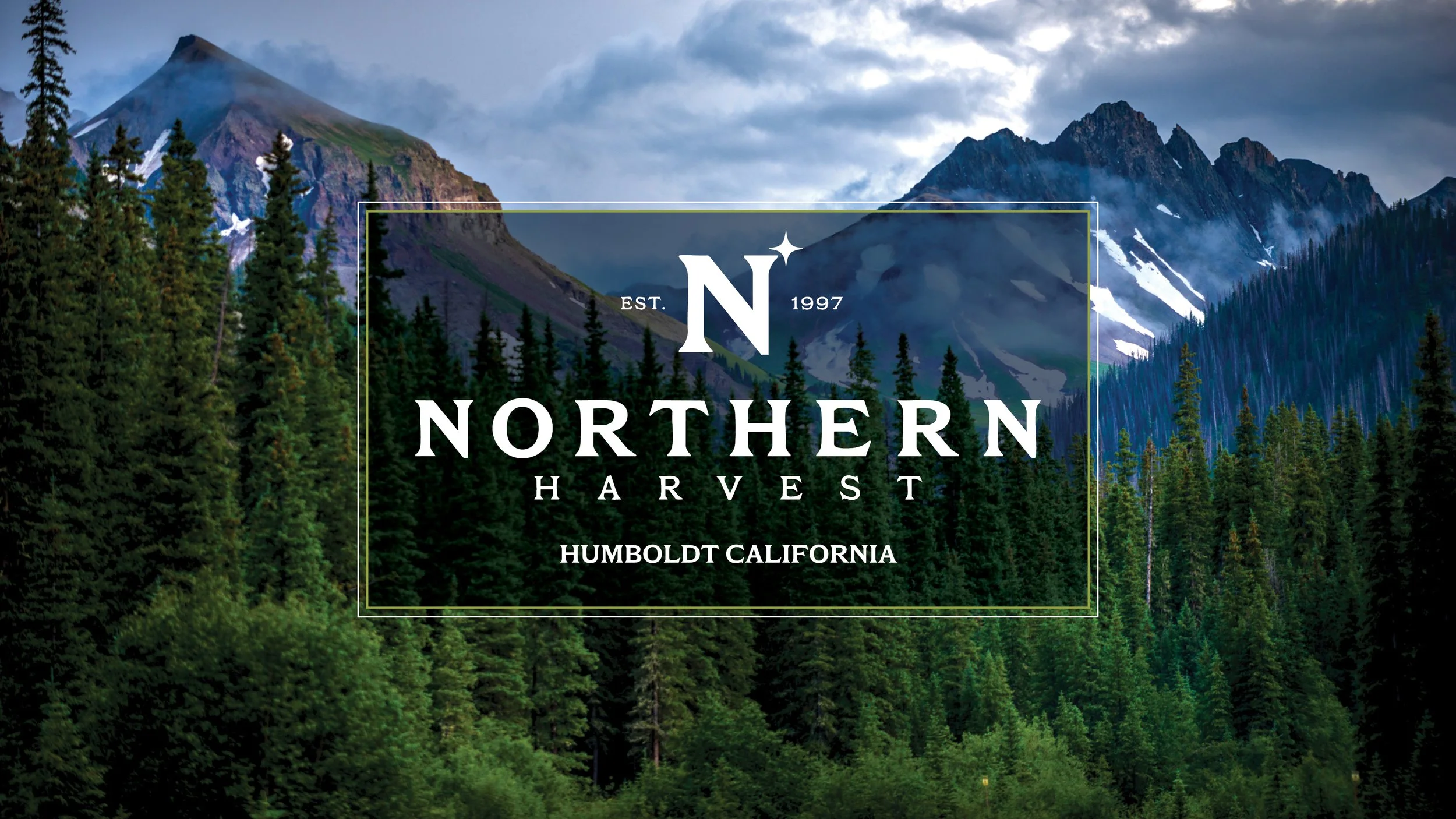 092725 Northern Harvest About Deck.jpg