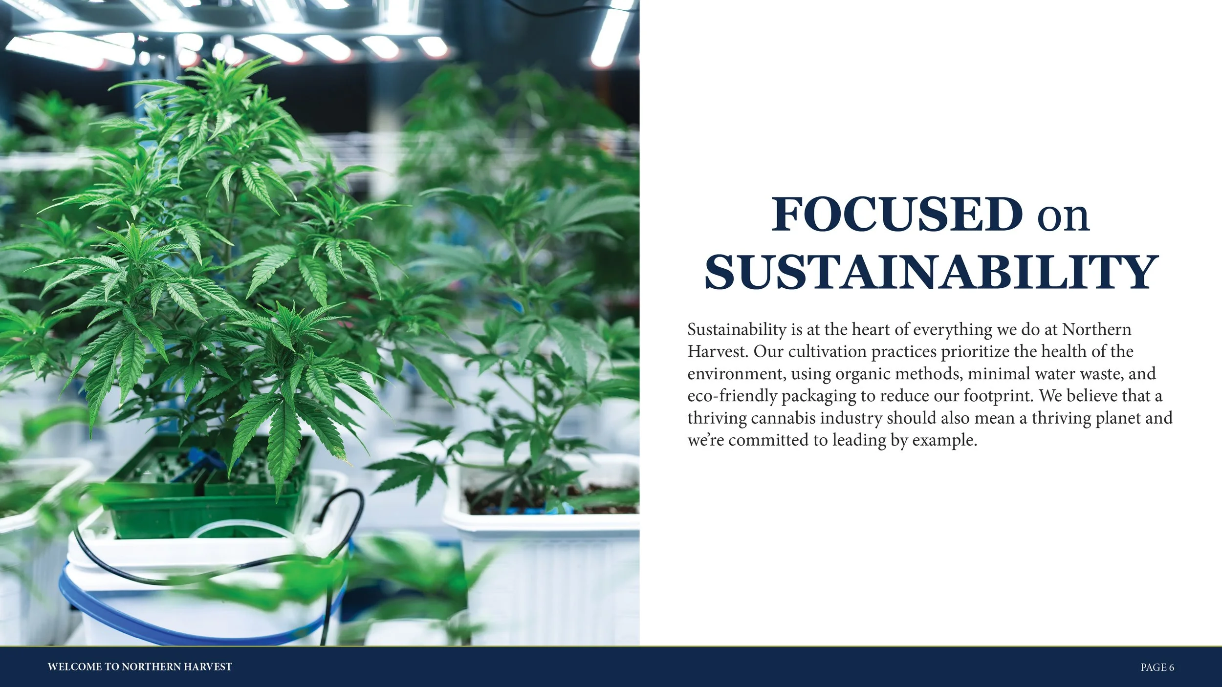 092725 Northern Harvest About Deck6.jpg