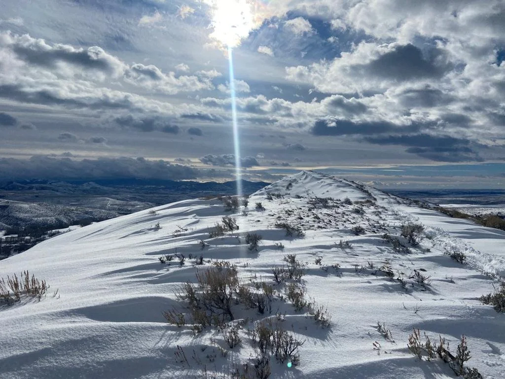 A HOPEFUL CRY FOR EMPATHY IN 2022