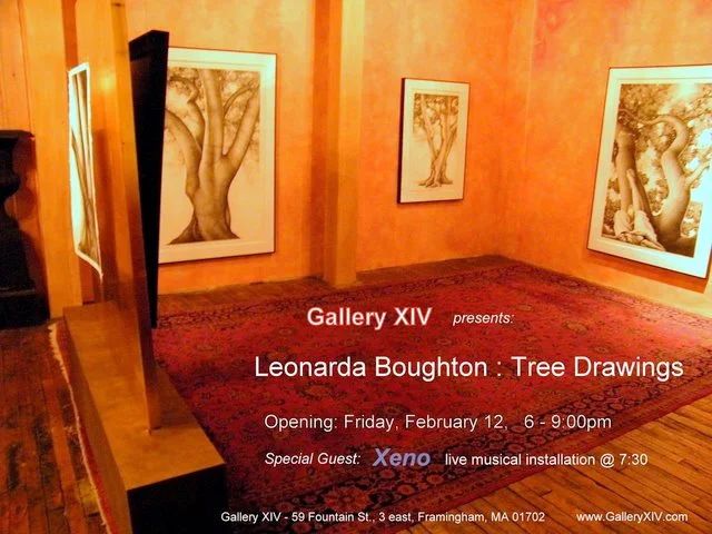 Tree Drawings Exhibit at Gallery XIV — 2010