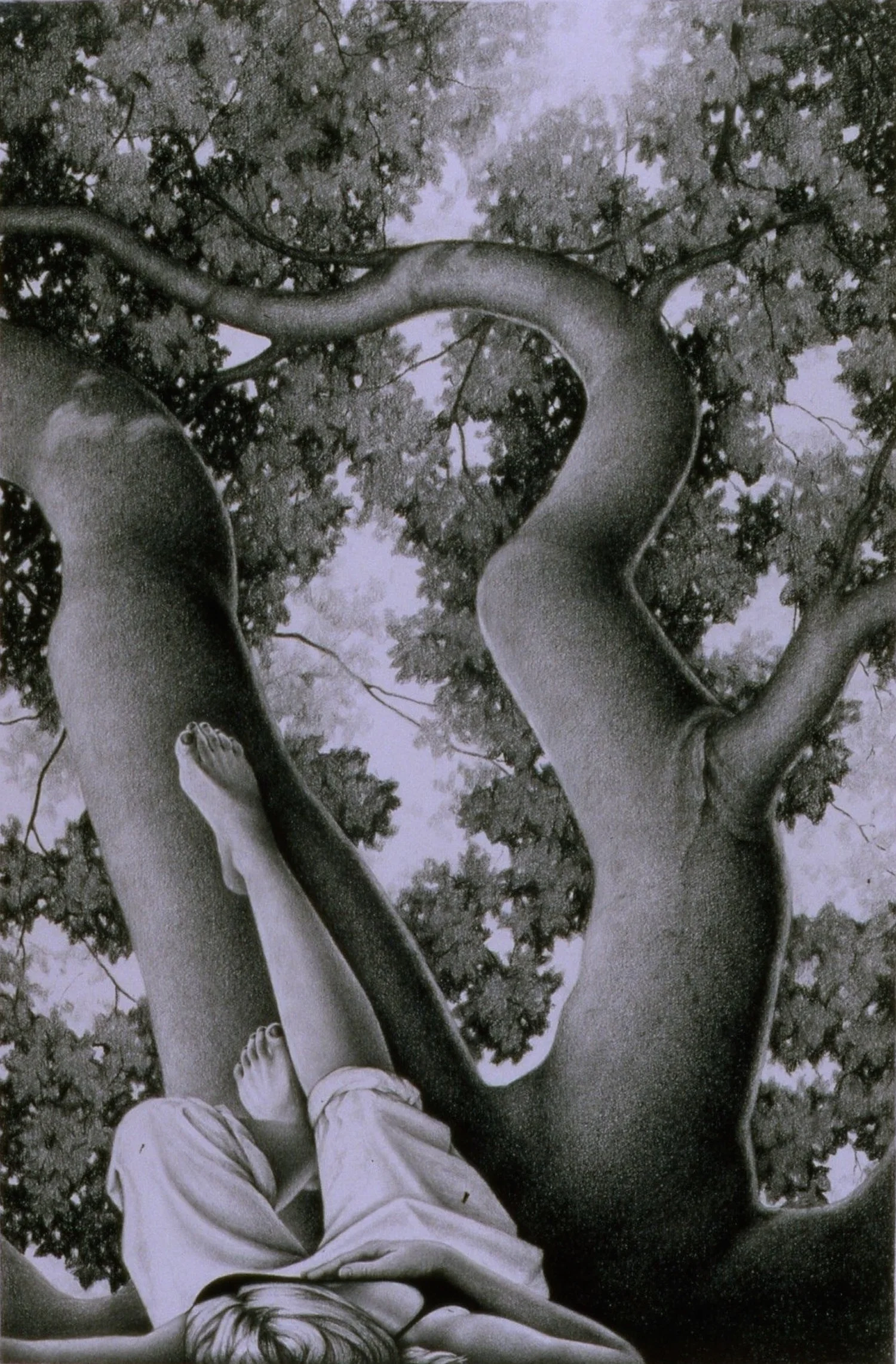 Sitting in a Beech (Zoom Out Moves Text) Graphite and conte on paper 71” x 50”
