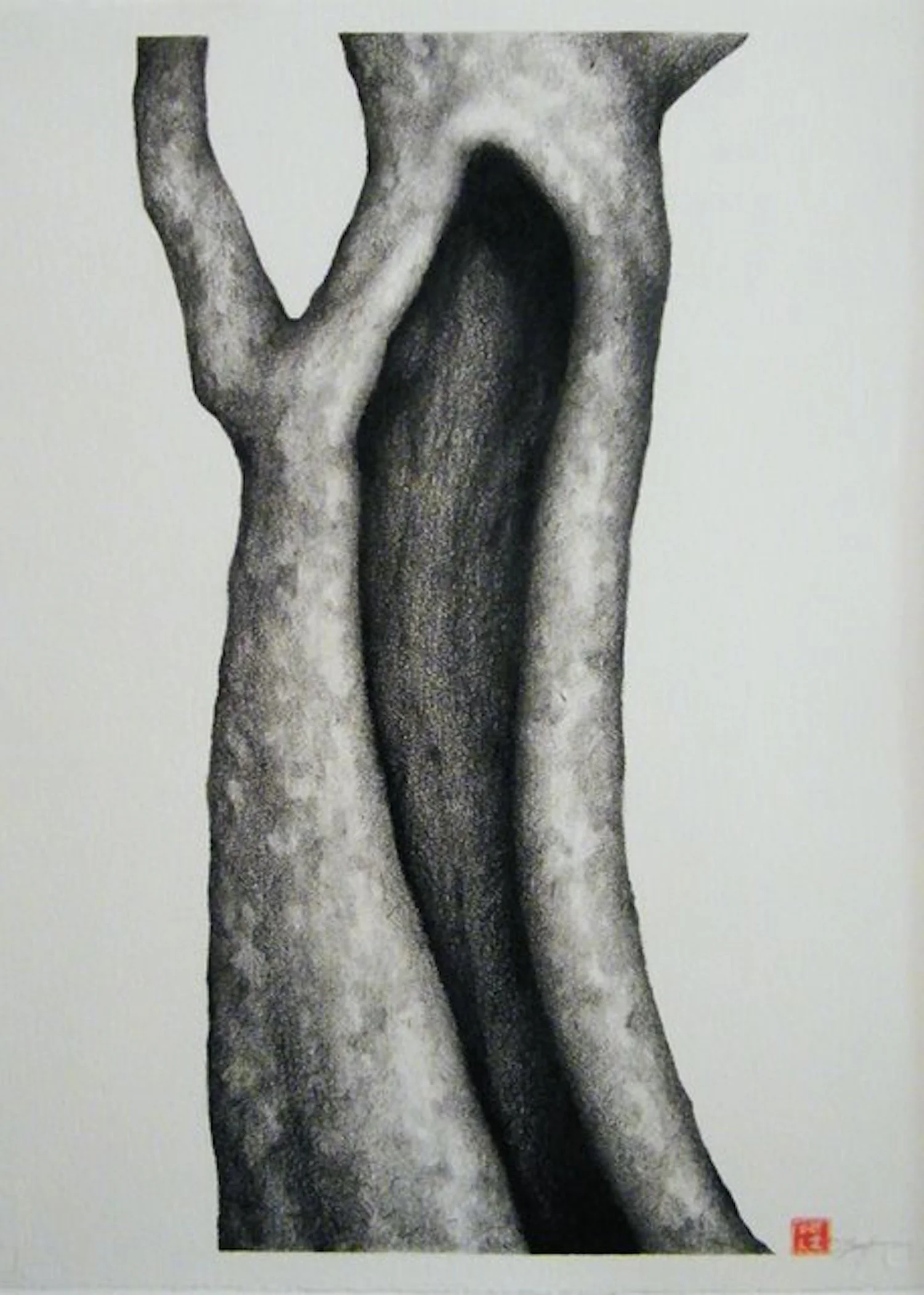 The Hollow Graphite and conte on paper 40” x 32”