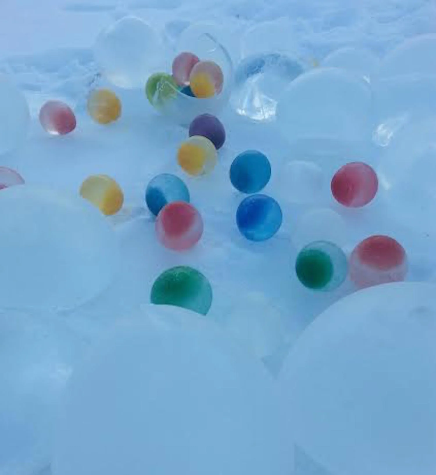 Artists’ Quest for Color Beats the Winter Blues